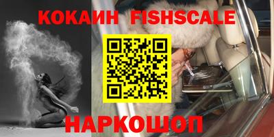 крисы Гай