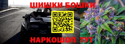 бошки Гагарин