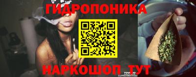 наркотики Гатчина