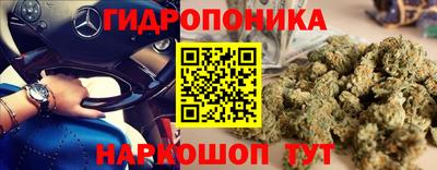 наркотики Гатчина