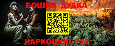 крисы Гай