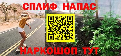 бошки Гагарин