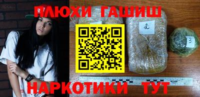 крисы Гай