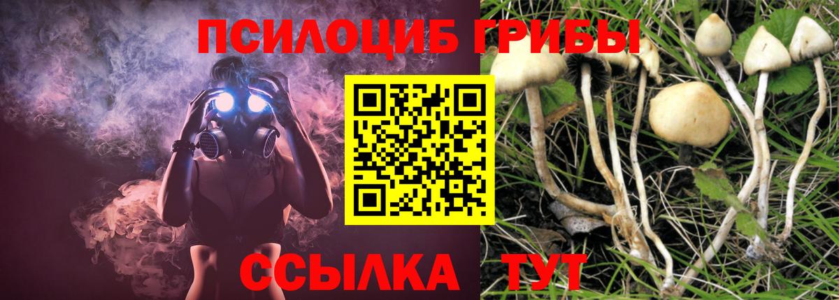 Псилоцибиновые грибы Psilocybe  Псилоцибиновые грибы Magic Shrooms  Вход с VPN  Белгород 